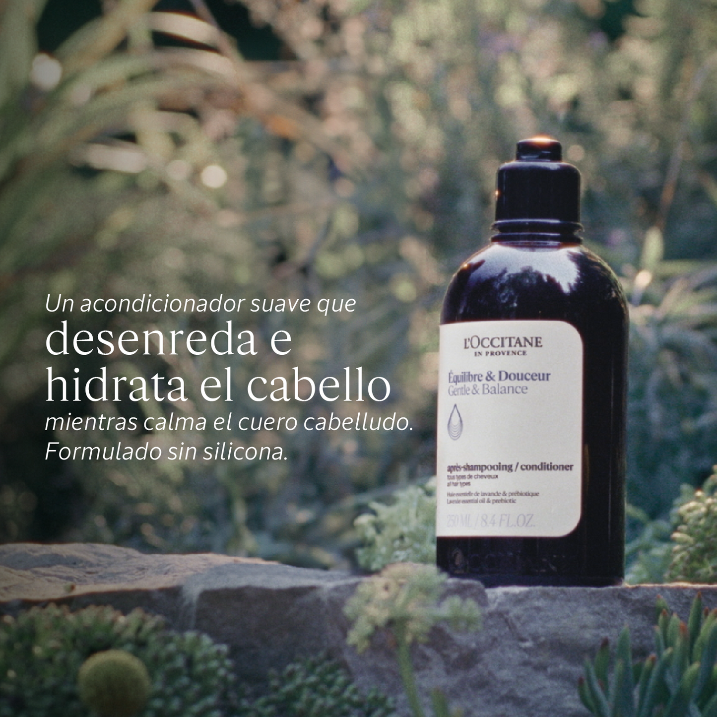 Acondicionador Equilibrio y Suavidad 500ml