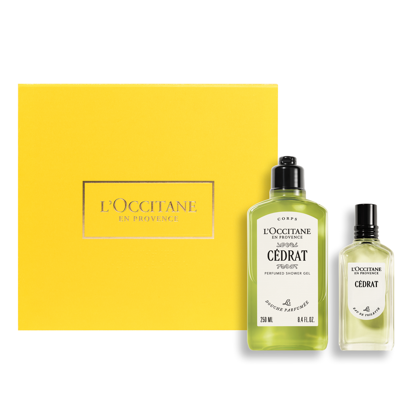 Dúo Rutina Corporal Hombre