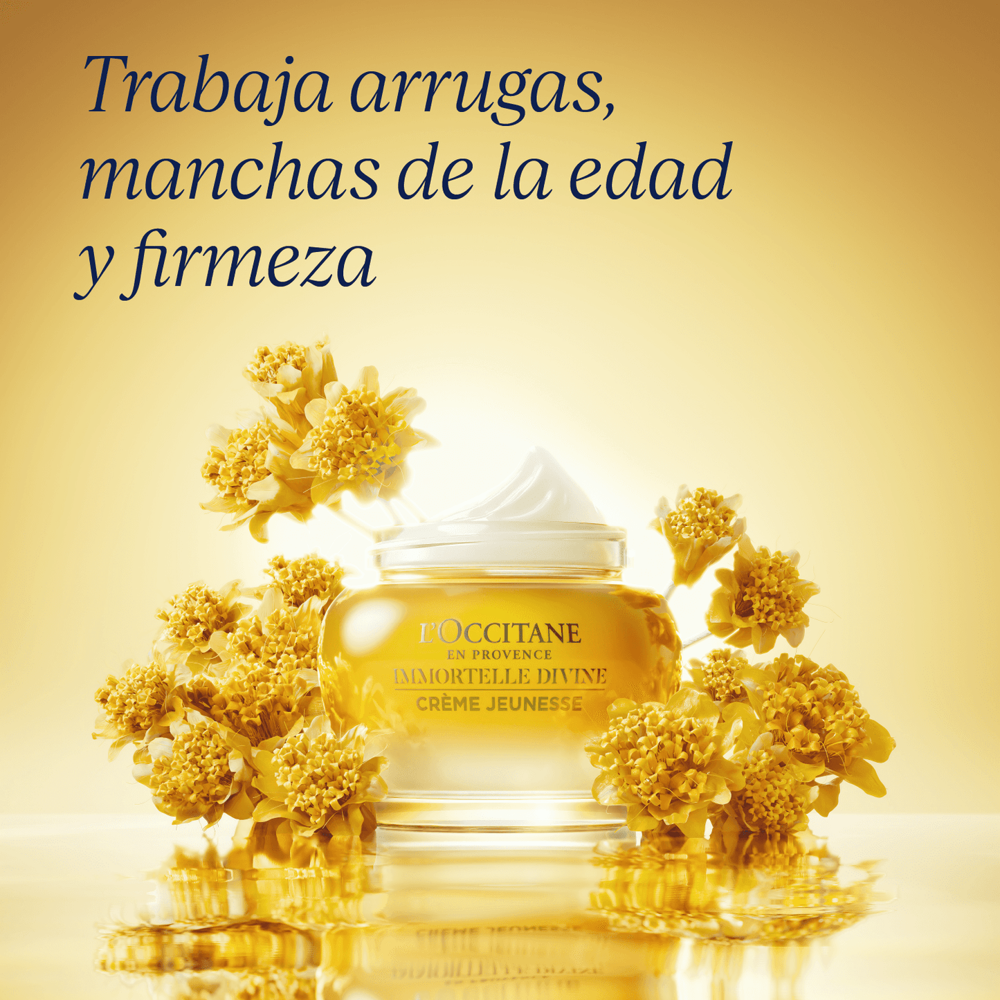 Crema antiedad hidratante Immortelle Divina