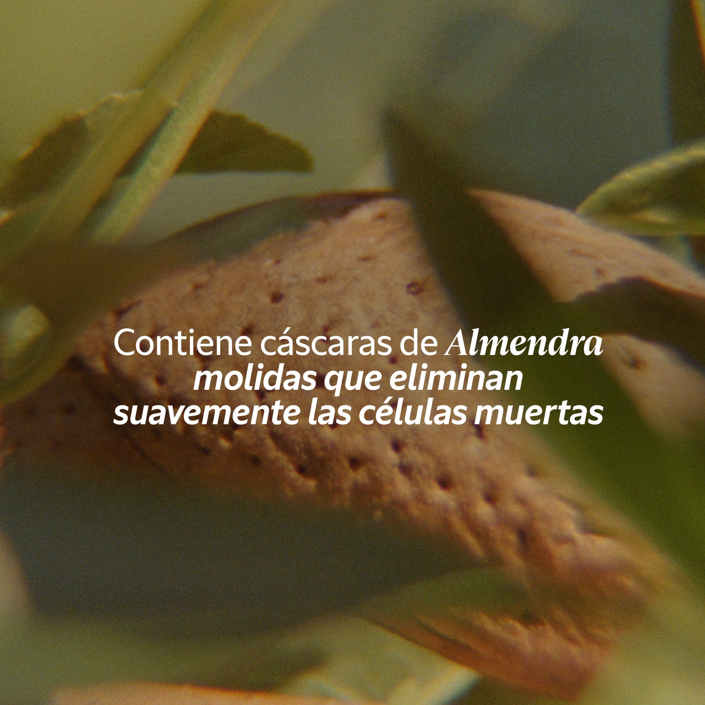 Jabón exfoliante de Almendras 50g