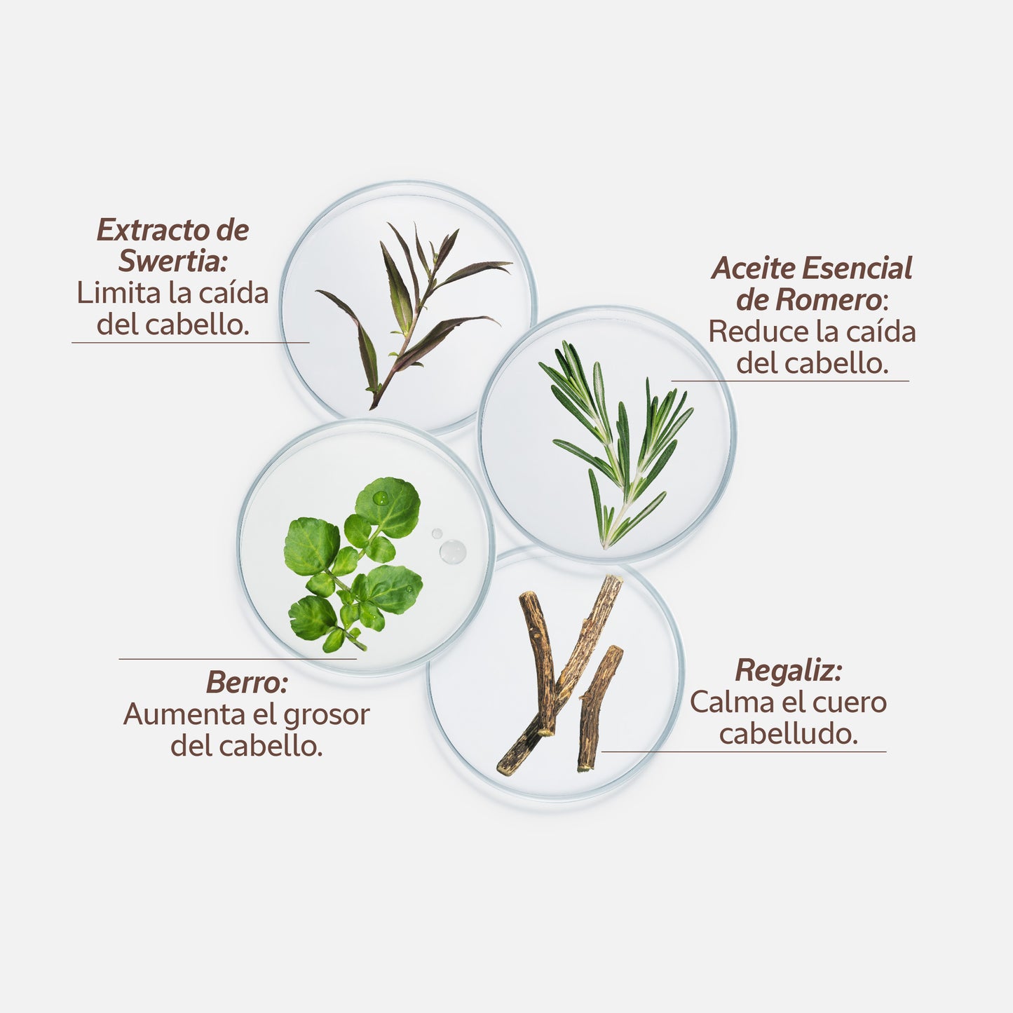 Sérum Capilar Anticaída 50ml
