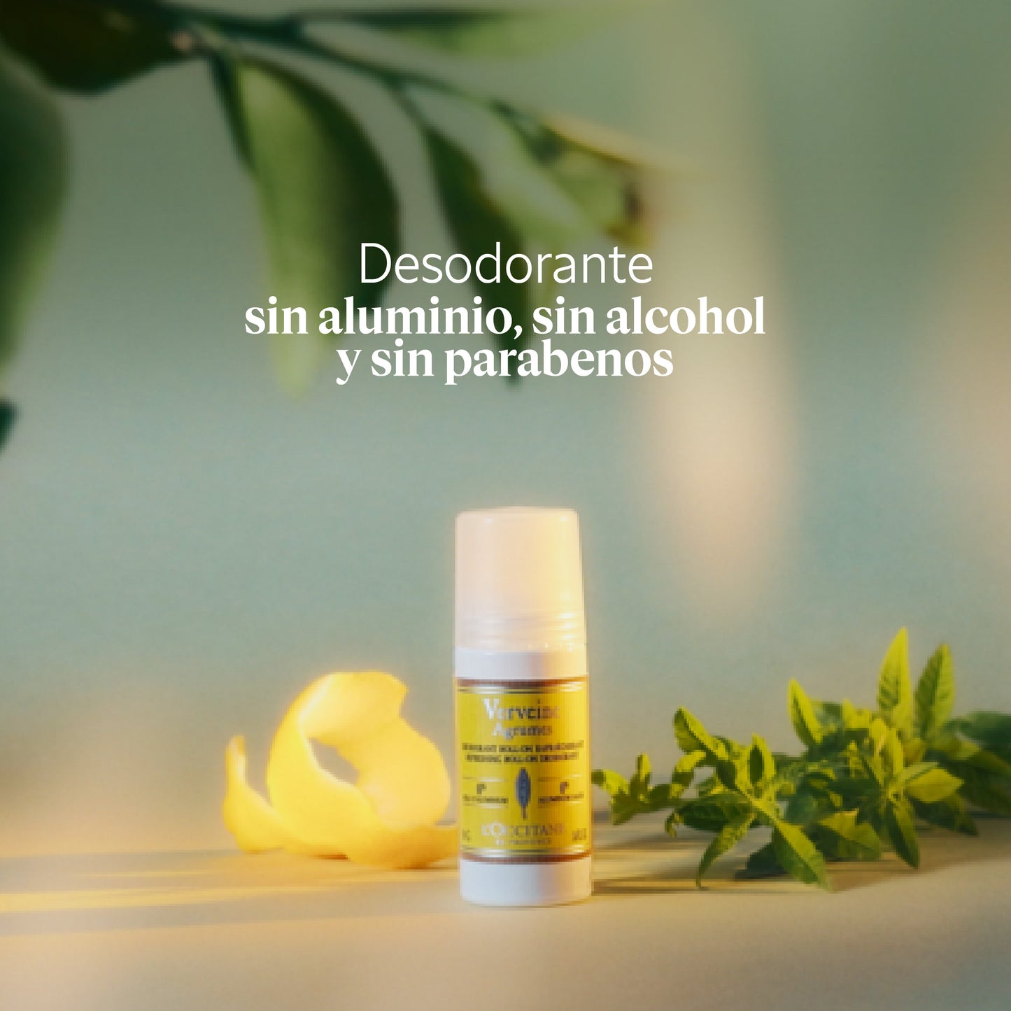 Desodorante Verbena Cítrica 50g