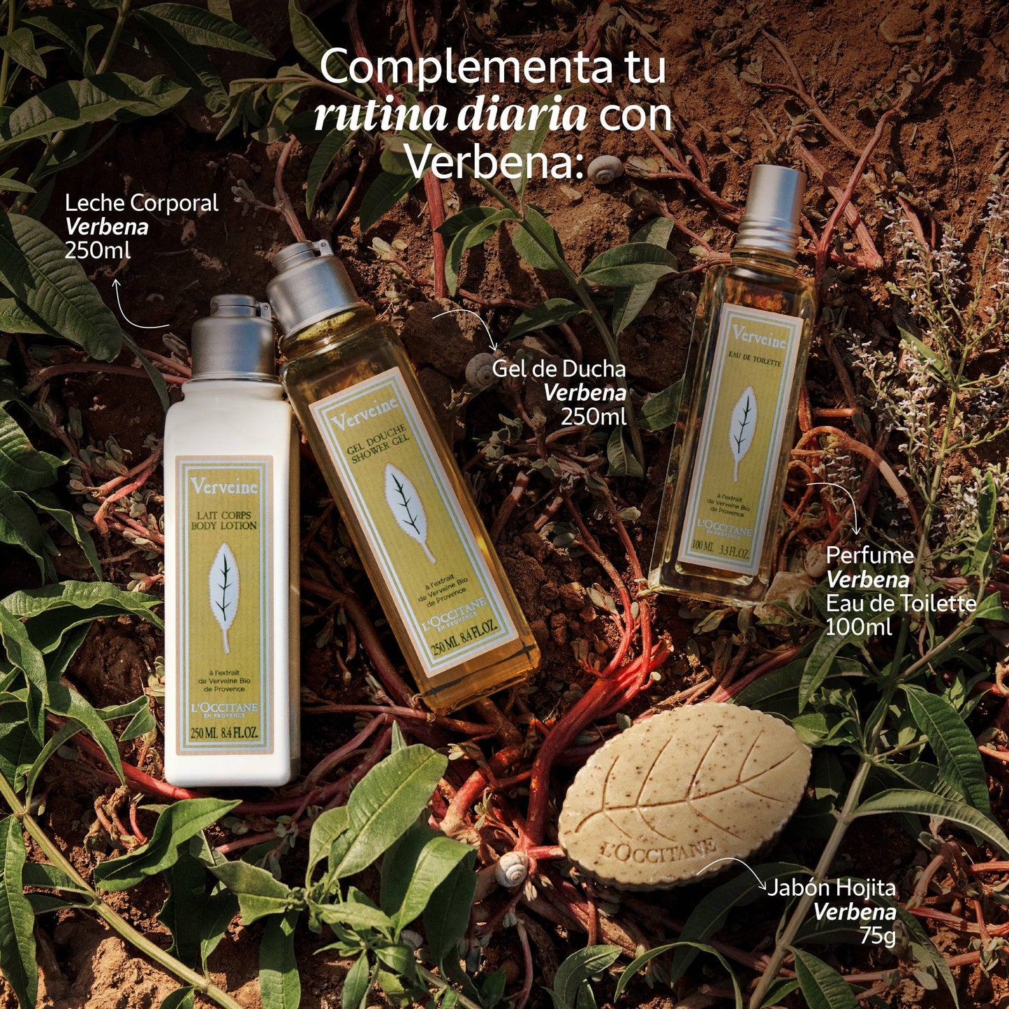 Gel crema refrescante para manos Verbena