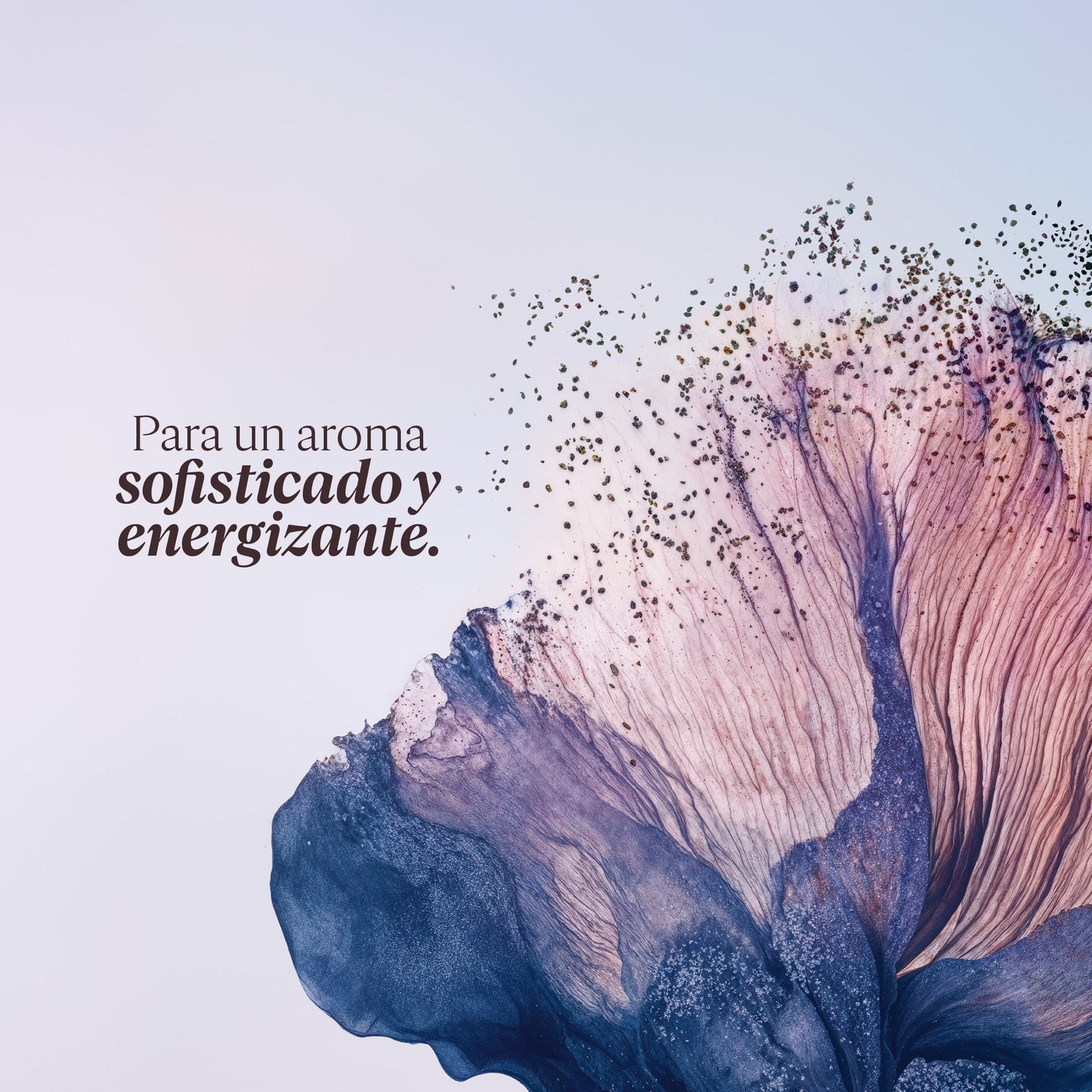 Gel de Ducha Lavande Poivre Noir (Antes L'Occitan) 250ml