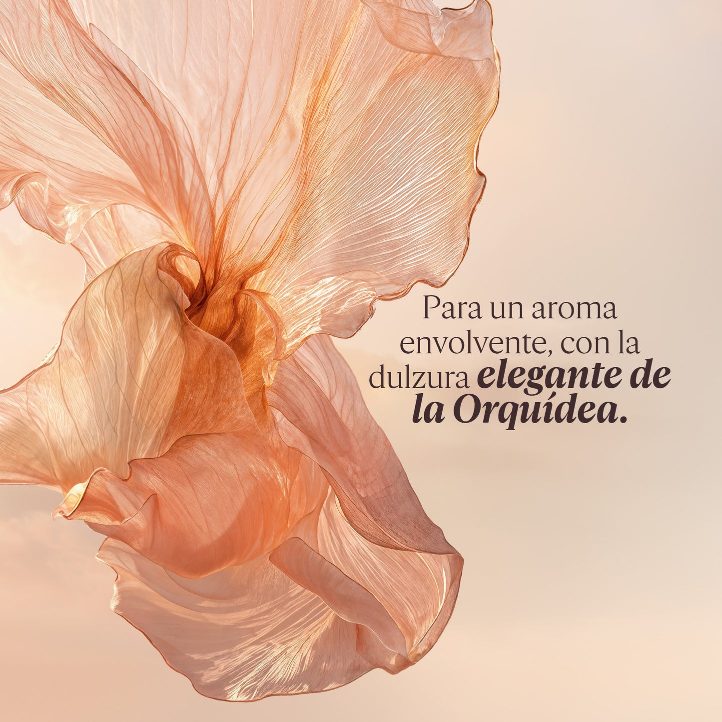 Crema para Manos Néroli Orchidée (Antes Nerolí & Orquídea) 30ml