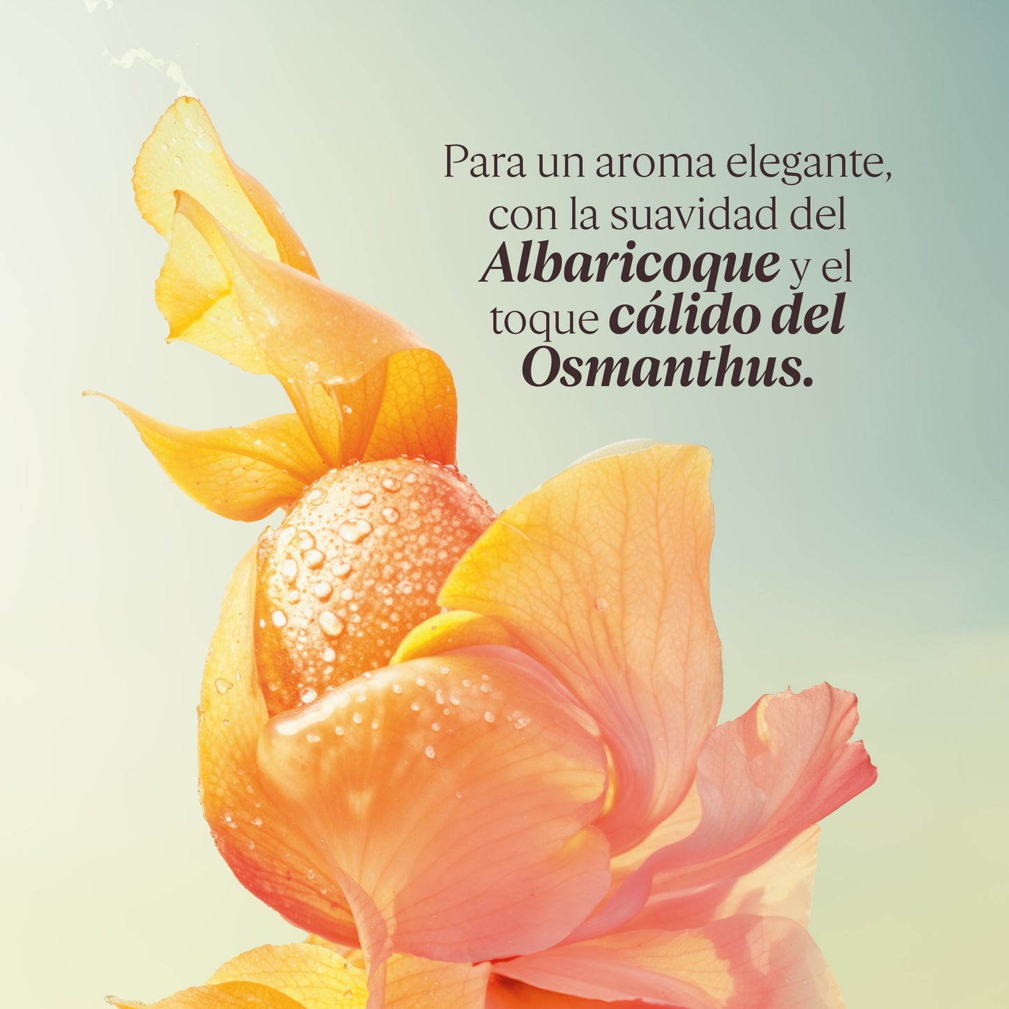 Gel de Ducha Osmanthus Abricot (Antes Osmanthus) 250ml