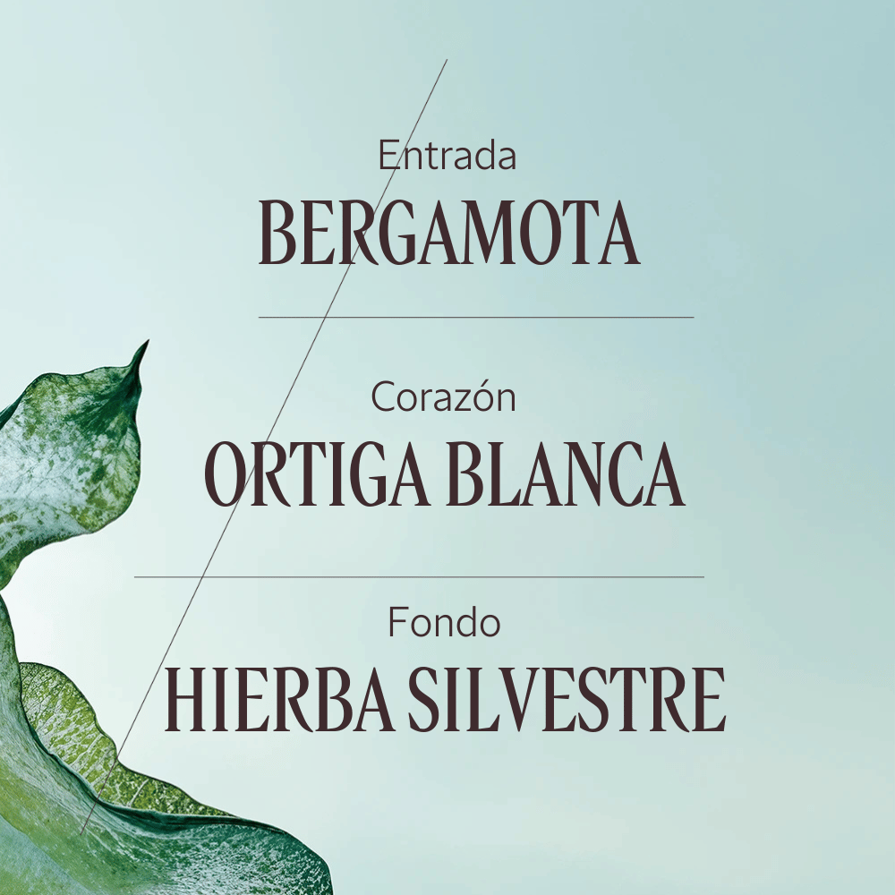 Perfume Ortie Blanche (Antes Herbae) Eau de Parfum 50ml