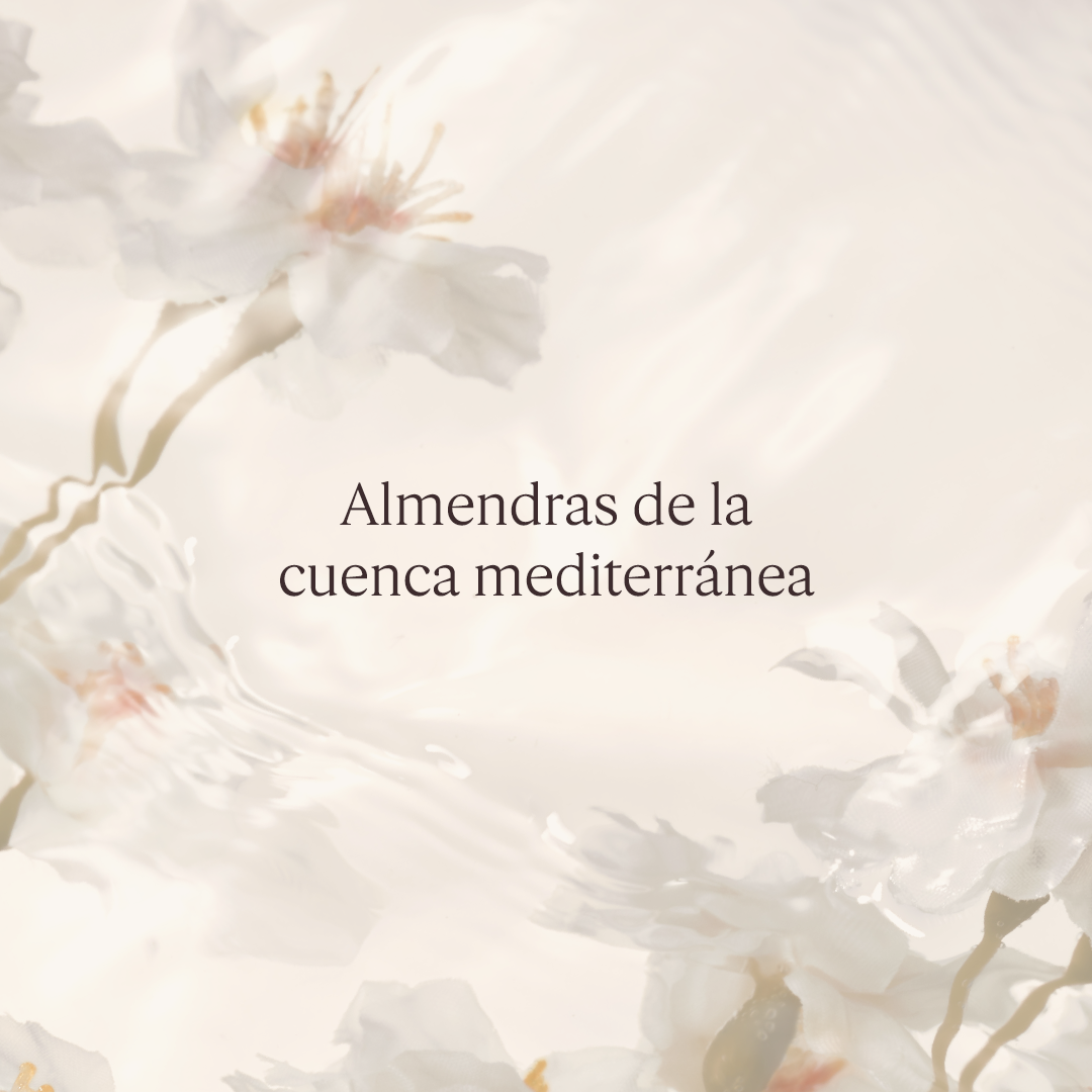 Eco Refill Aceite de ducha de Almendras 500ml