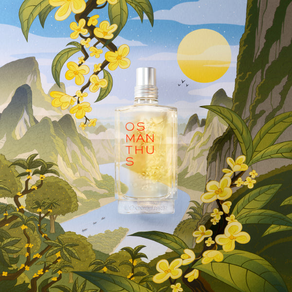  Featured Ingredient - L'Occitane