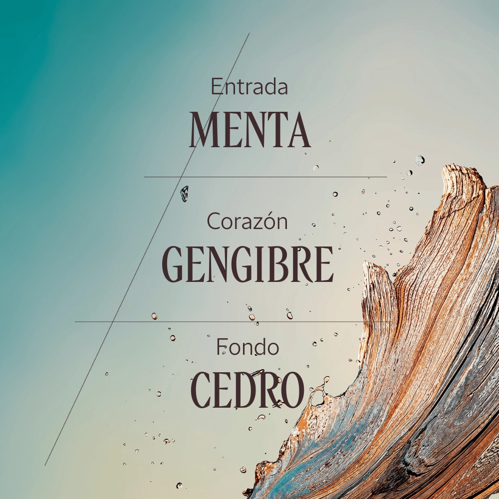 Perfume Cèdre Gingembre (Antes Cap Cédrat) Eau de Toilette 50ml
