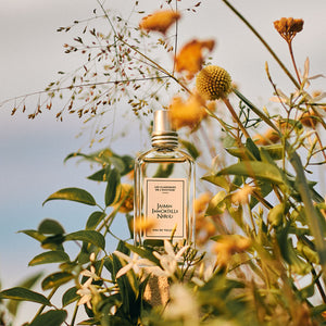 Perfume Jazmín Immortelle Nerolí Eau de Toilette 50ml