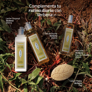 Gel crema refrescante para manos Verbena 75ml