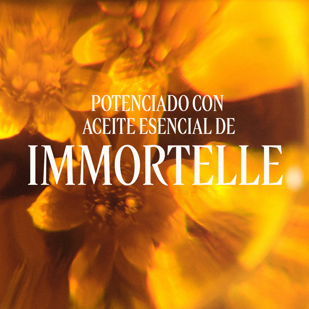 Crema hidratante Immortelle Divina 50ml