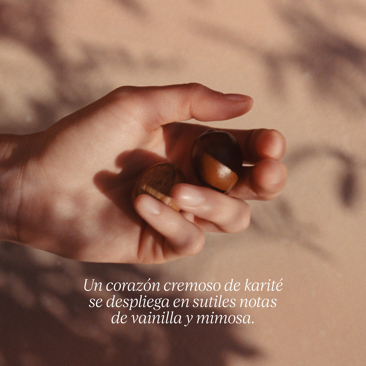 Jabón en Crema para Manos Karité 500ml