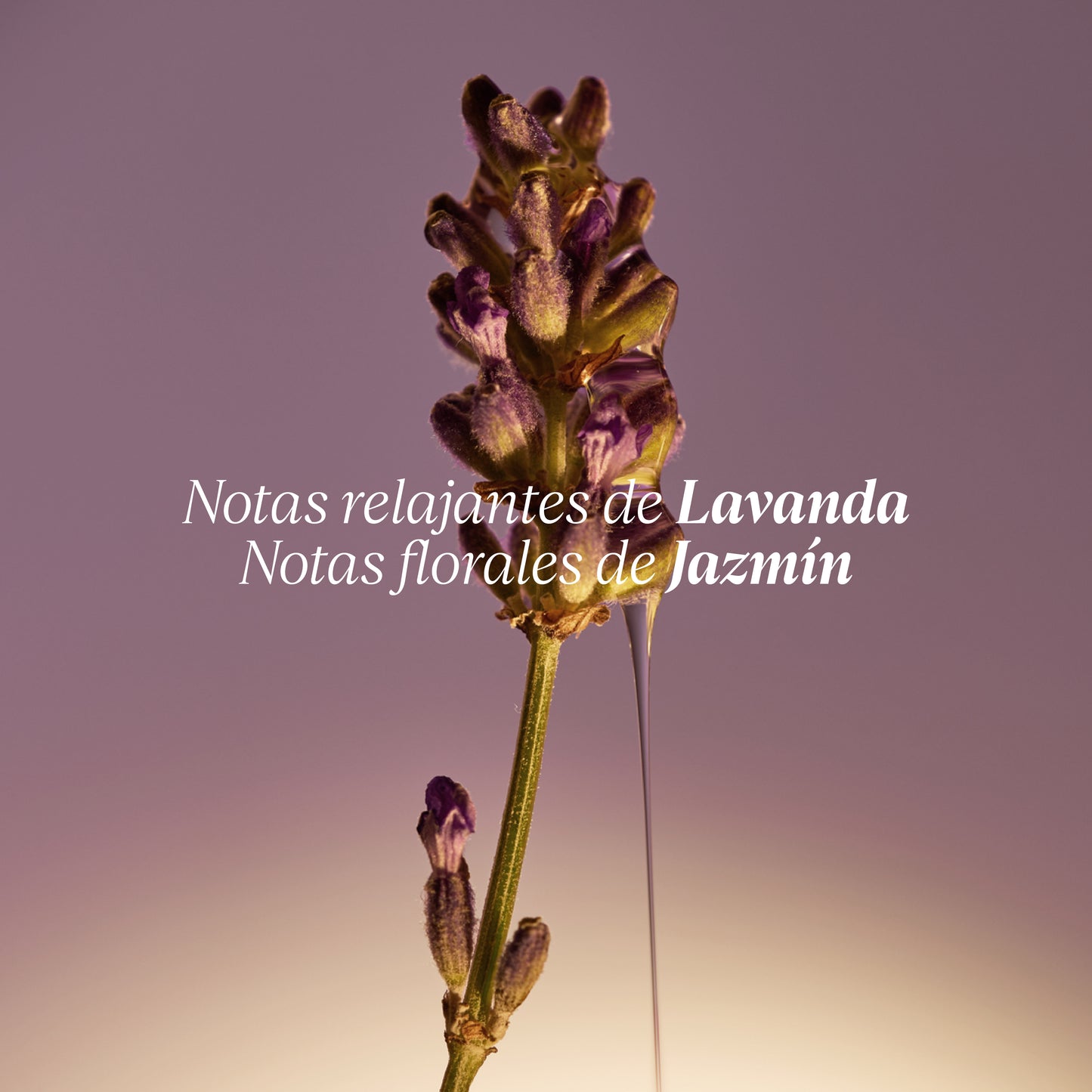 Jabón Líquido para Manos Karité Lavanda 500ml