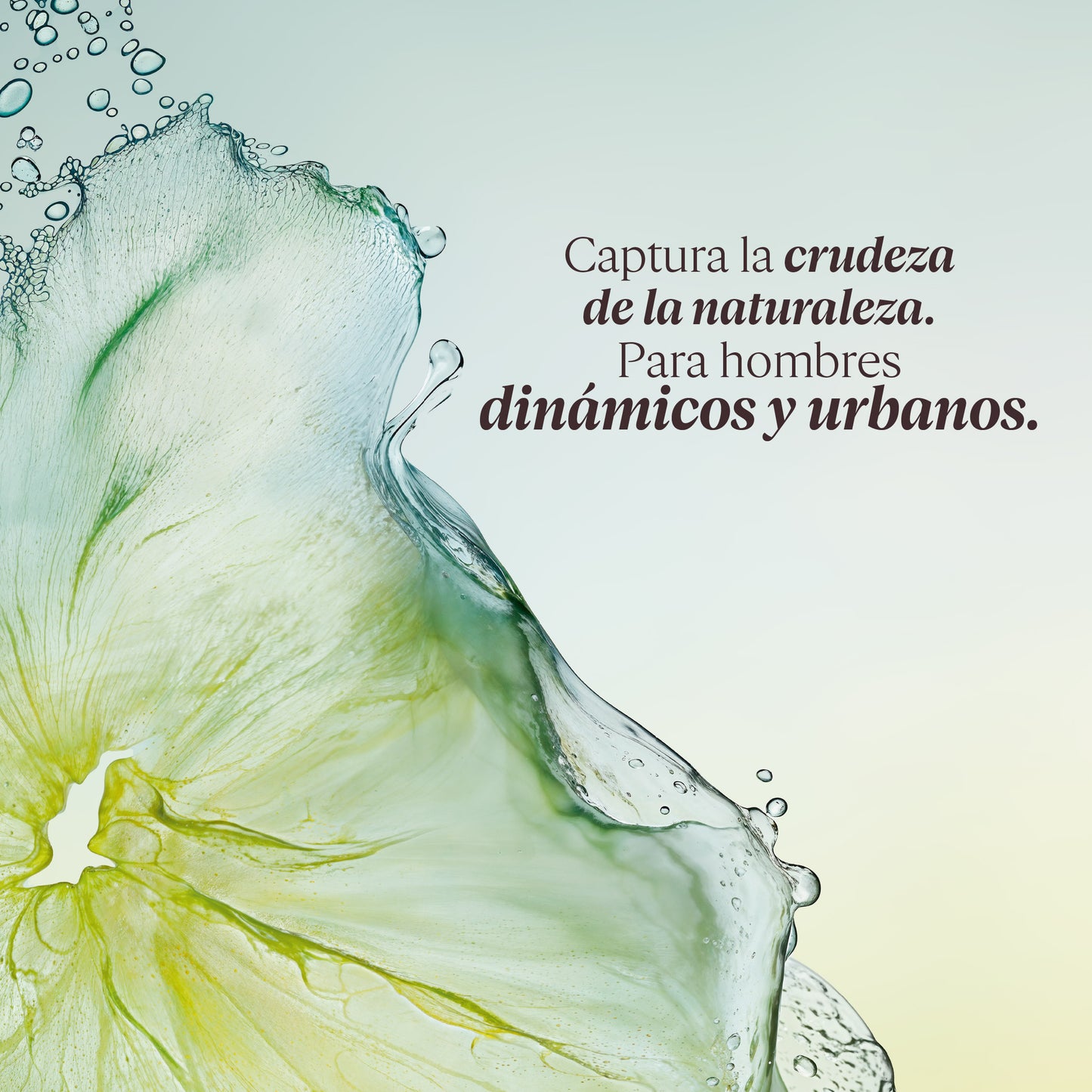 Gel de Ducha Cédrat 250ml