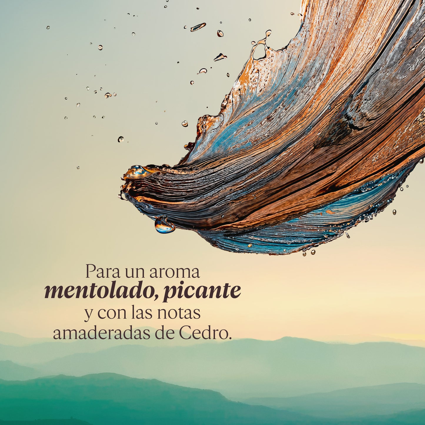 Perfume Cèdre Gingembre (Antes Cap Cédrat) Eau de Toilette 50ml