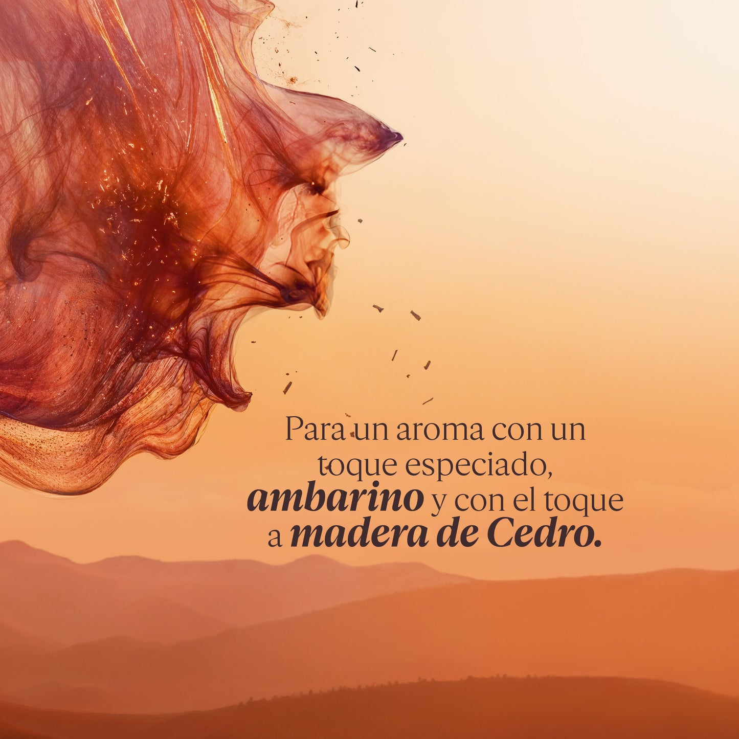 Perfume Cèdre Encens (Antes Eau des Baux) Eau de Toilette 50ml