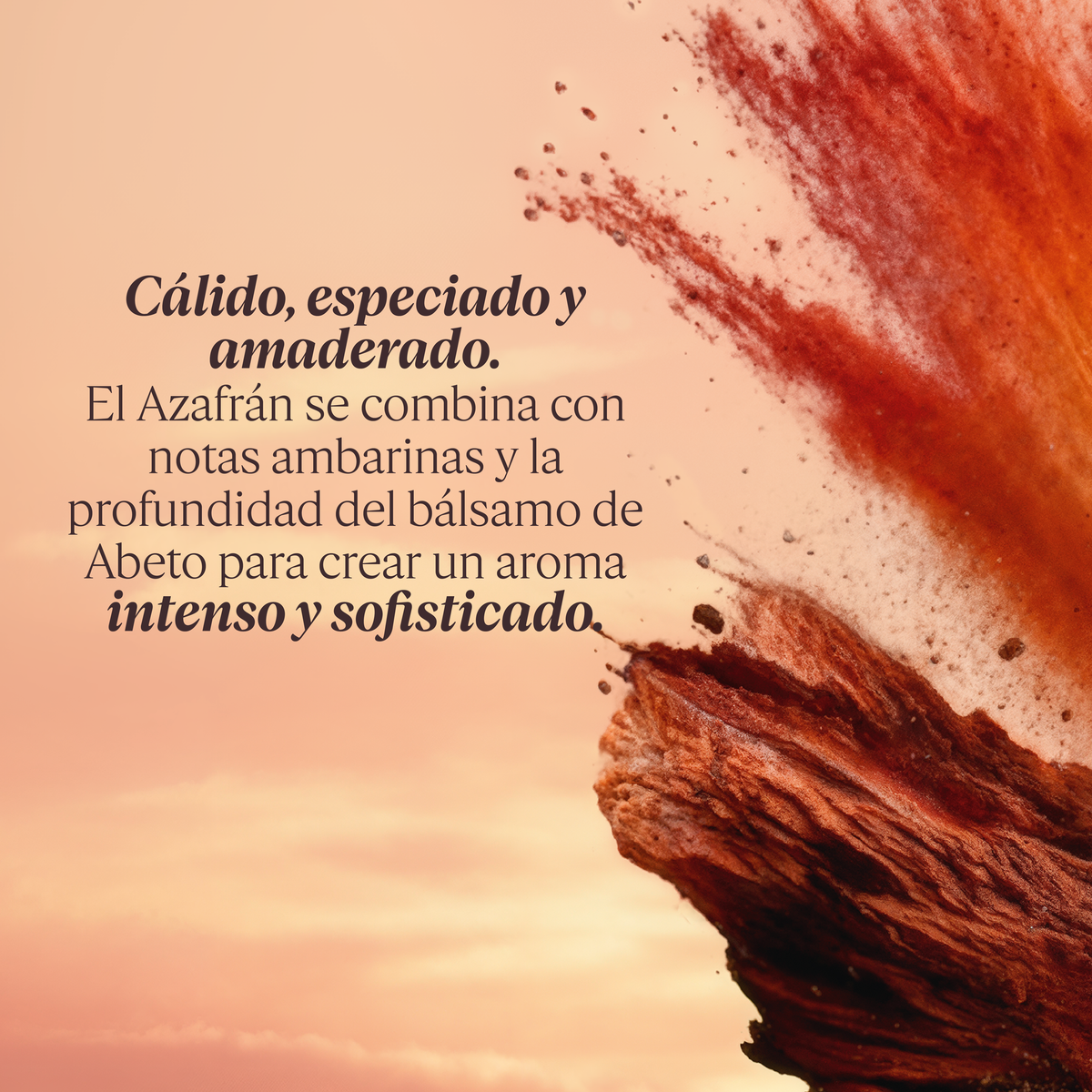 Perfume Safran Boisé (Azafrán Amaderado) Eau de Parfum 50ml