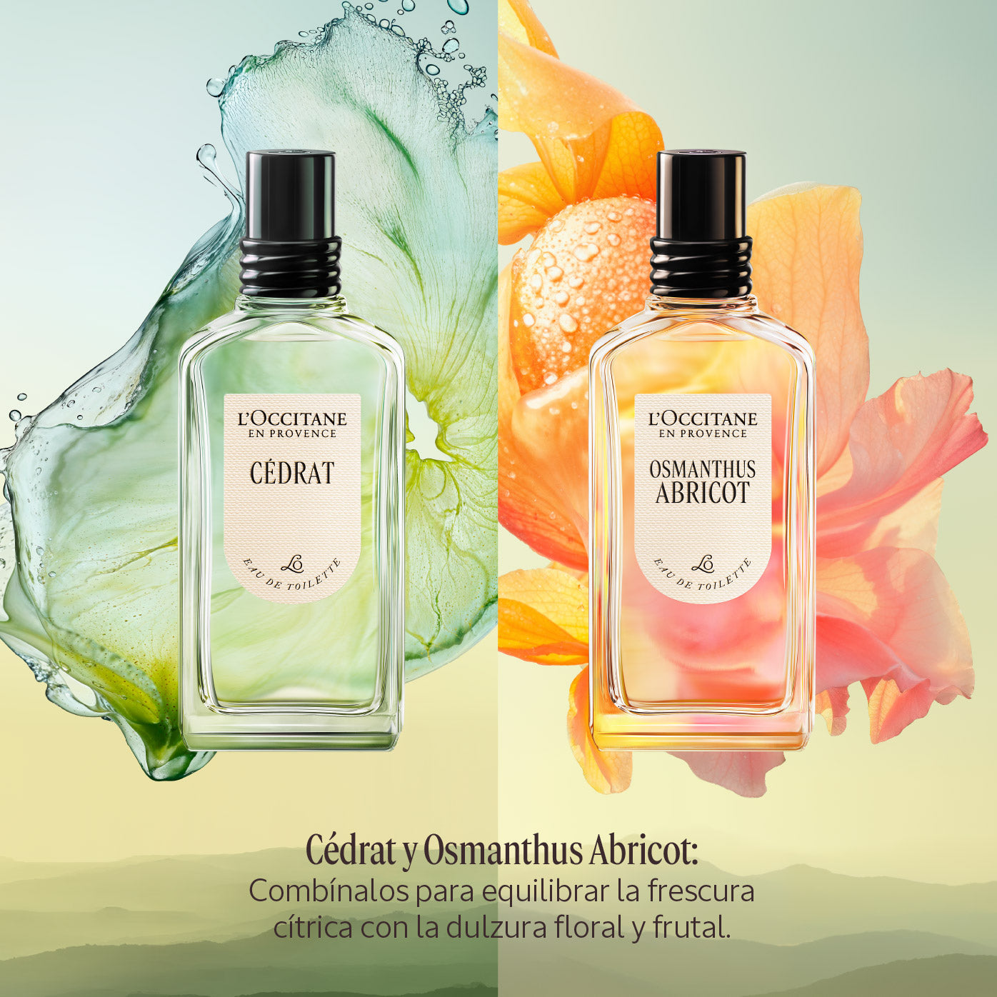 Perfume Osmanthus Abricot (Antes Osmanthus) Eau de Toilette 50ml
