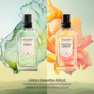 Perfume Osmanthus Abricot (Antes Osmanthus) Eau de Toilette 50ml